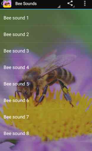Bee Sounds 2