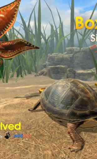 Box Turtle Simulator 2