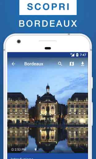Bordeaux Guida Turistica 1