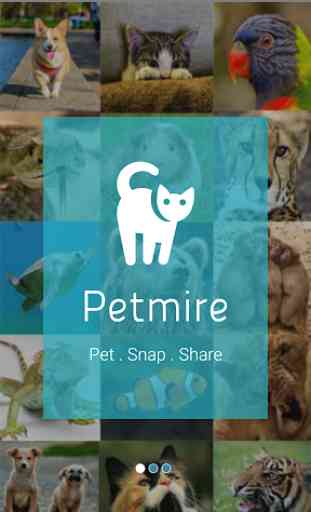 Petmire - Pet Community 1