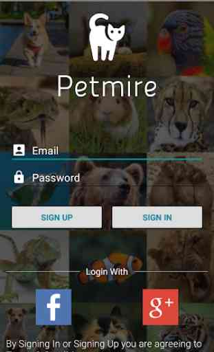 Petmire - Pet Community 2