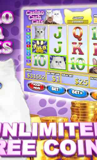 Casino Cash Cats Kitty Game Vegas Slots Machine 1