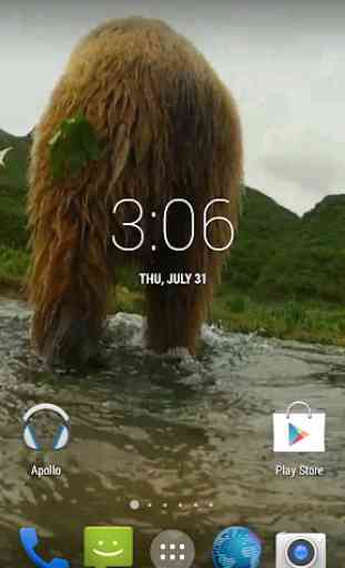 Grizzly HD. Live Wallpaper 1