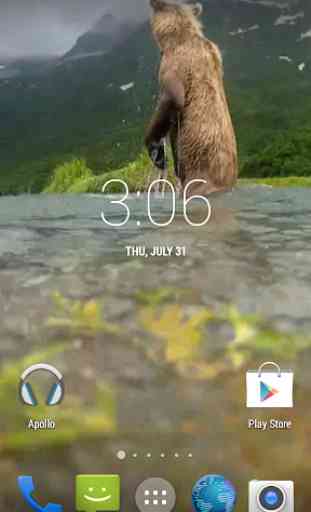 Grizzly HD. Live Wallpaper 4