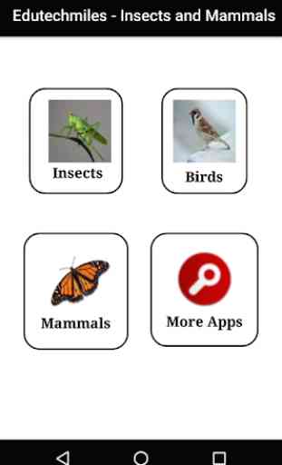 Learn Insects and Mammals 1
