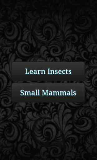 Learn Insects and Mammals 4