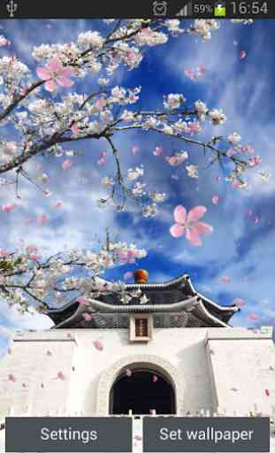 Sakura Giardino Sfondi Animati 2