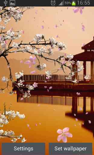 Sakura Giardino Sfondi Animati 4