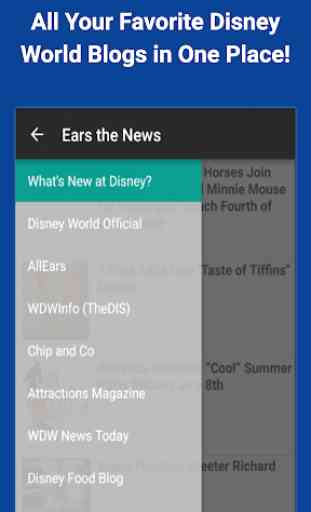 Ears the News: Disney World 1