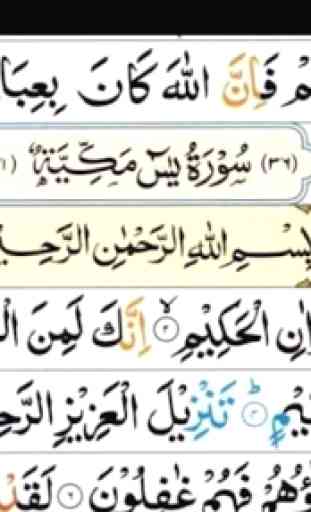 Tajweed Quran 1