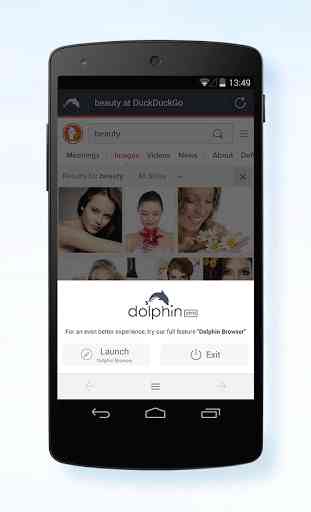 Dolphin Zero Incognito Browser - Private Browser 3