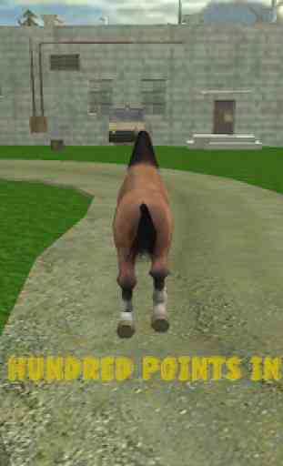 furia folle cavallo Calcolo 3D 3
