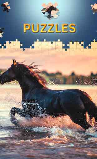 Horses Jigsaw Puzzles Free 1