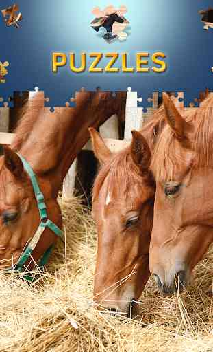 Horses Jigsaw Puzzles Free 3