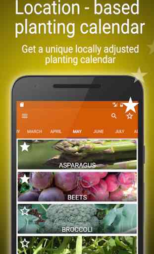 Planting calendar - vegetables 1