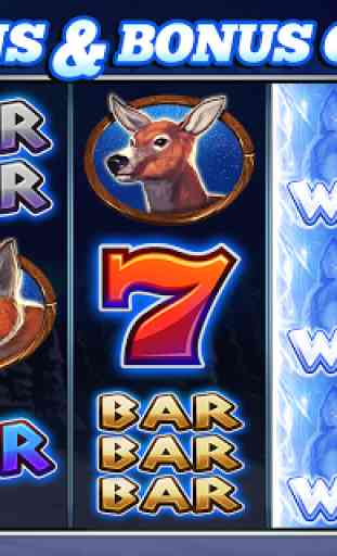 Slots Lucky Wolf Casino VLT 1
