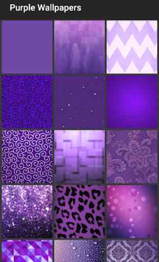 Purple Wallpapers 1