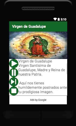 Virgen de Guadalupe 3