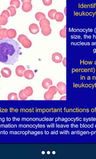 Histology Lite - SecondLook 2