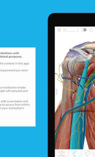 Human Anatomy Atlas 17 (Org.) 3