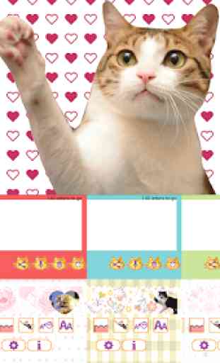 Cat Sticky Memo Notepad Free 1
