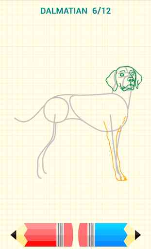 Come Disegnare Cani 4