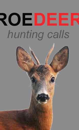 Roe Deer Calls +Deer Sounds AU 2