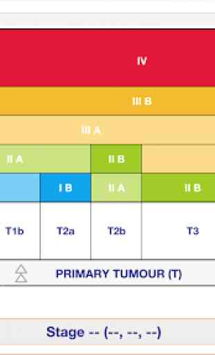 Lung Cancer Staging Table 3