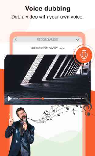 Video Voice Dubbing 3