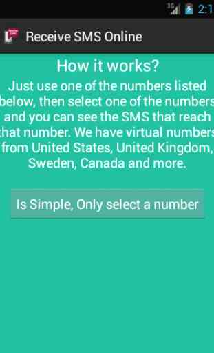 Receive SMS Online 1