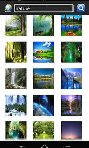 Image Search 3