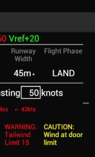 Wind Check (Boeing 737) 3