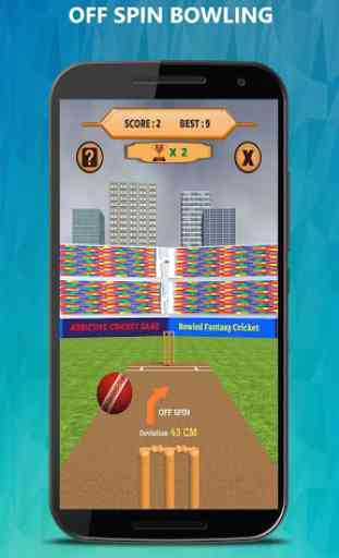 Bowled 3D - Cricket Game 3