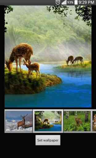 Deer Live HD Wallpapers 3