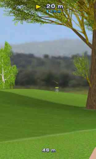 Disc Golf Game 3