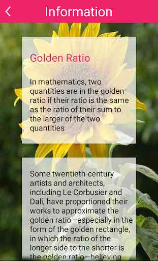Golden Ratio in art and images 3