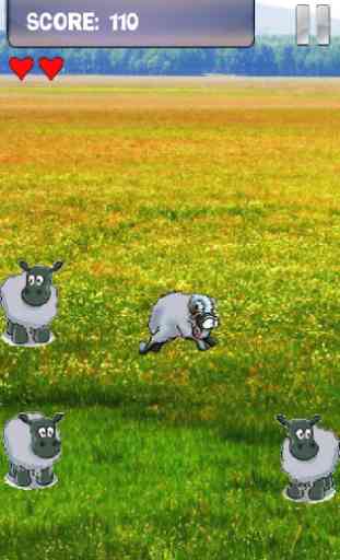 Sheep Game for Android 1