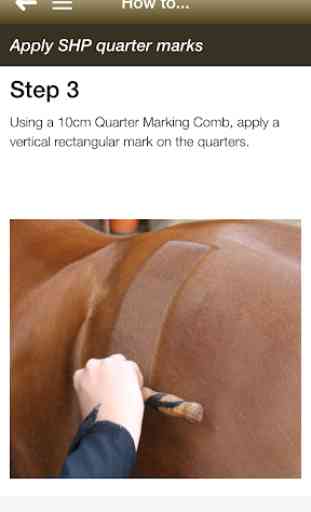 Supreme Equestrian Products 3