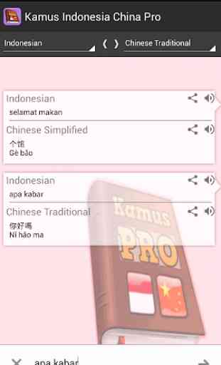 Kamus Indonesia China Pro 4