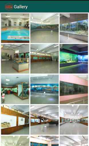 Bangladesh National Museum 4