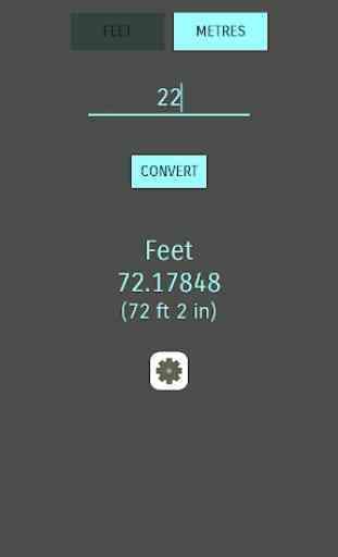 Feet Meters Converter 1