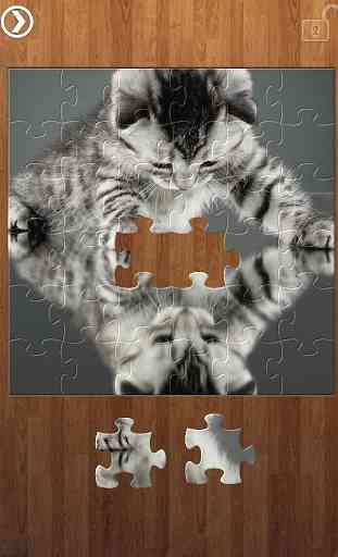 Riflessione Jigsaw Puzzles 3