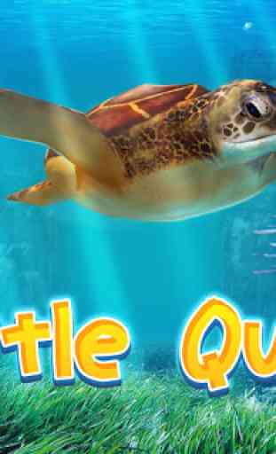 Turtle Simulator: Sea Quest 1