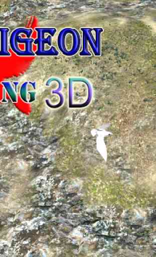 Spy Pigeon Caccia 3D 4