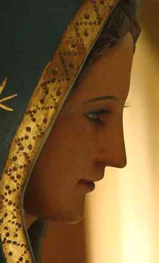 Santísima Virgen Maria (fotos) 2