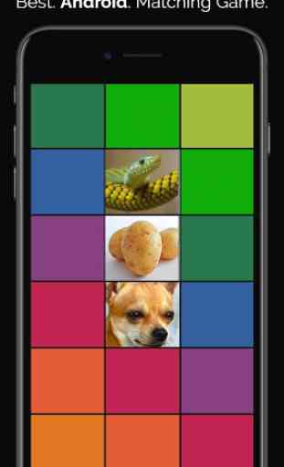CAR & ANIMAL MEMORY FREE: COLORFUL GAME FOR ADULTS 1