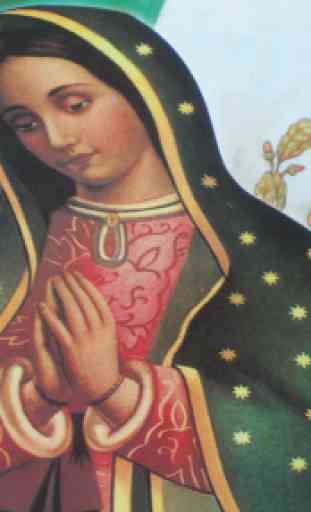 Milagrosa Virgen de Guadalupe 1