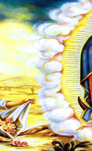 Milagrosa Virgen de Guadalupe 2