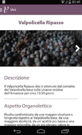 Valpolicella Wines 4