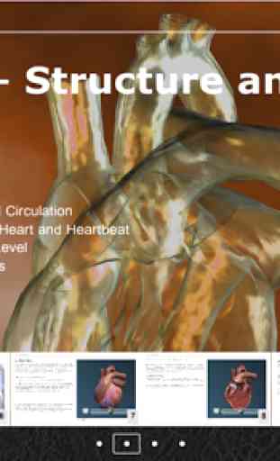 CHE: Cardiovascular System 1